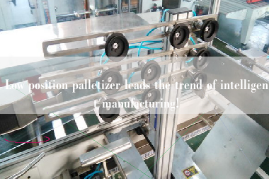 Low position palletizer leads the trend of intelligent manufacturing!