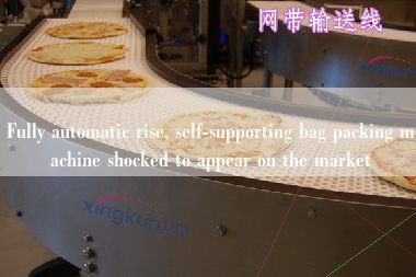 Fully automatic rise, self-supporting bag packing machine shocked to appear on the market