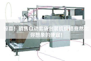 Surprise! The price of selling automatic bagging packaging machine is cheaper than you think!