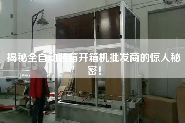 Reveal the amazing secret of the wholesaler of automatic packing machine!