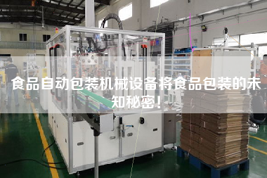 Food automatic packaging machinery equipment will be the unknown secret of food packaging!