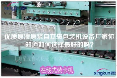 Do you know how to choose the best one for the equipment manufacturer of high-quality raw liquid pulp self-supporting bag packaging machine?