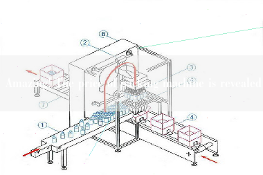 Amazing! The price of packing machine is revealed!