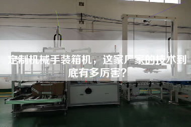 Customized mechanical hand packing machine, how powerful is the technology of this factory?