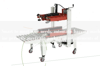 Smart to meet your needs, automatic bagging machine perfectly meets the packaging requirements of different industries!