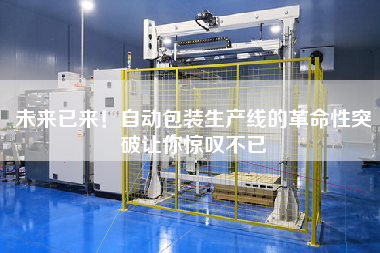 The future has come! You are amazed at the revolutionary breakthrough in the automatic packaging production line.