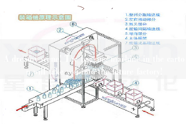 A dreamy scene! The bagging machine in the carton will take you into the future factory!