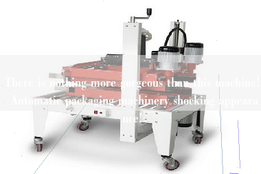 There is nothing more gorgeous than this machine! Automatic packaging machinery shocking appearance!