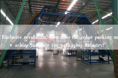 Exclusive revelation! How does the robot packing machine innovate the packaging industry?