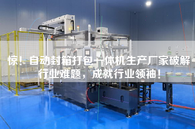 Surprise! Automatic packing all-in-one machine manufacturers to solve the industry problems, the achievement of industry leaders!