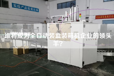 Who will be the leader of the enterprise of automatic packing machine