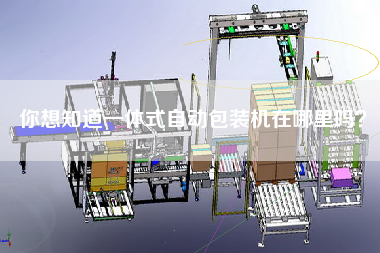 Do you want to know where the all-in-one automatic packaging machine is?