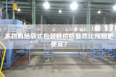 The price of multi-material bag packing machine is even cheaper than expected.