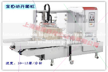 Automatic carton bagging machine can easily solve your production problems!