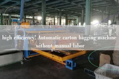 high efficiency! Automatic carton bagging machine without manual labor