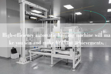 High-efficiency automatic bagging machine will make you win and make brilliant achievements.