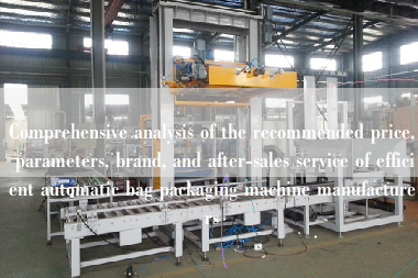Comprehensive analysis of the recommended price, parameters, brand, and after-sales service of efficient automatic bag packaging machine manufacturers