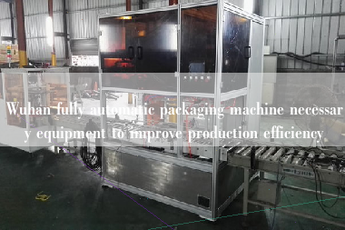 Wuhan fully automatic packaging machine necessary equipment to improve production efficiency Wuhan fully automatic packaging machine necessary equipment to improve production efficiency