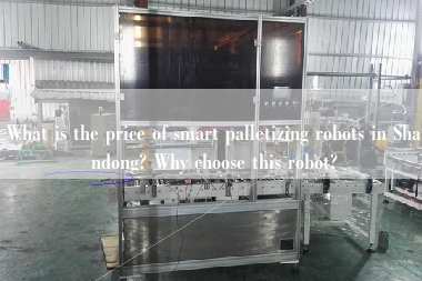 What is the price of smart palletizing robots in Shandong? Why choose this robot? What is the price of smart palletizing robots in Shandong? Why choose this robot?