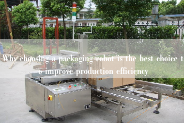 Why choosing a packaging robot is the best choice to improve production efficiency Why choosing a packaging robot is the best choice to improve production efficiency