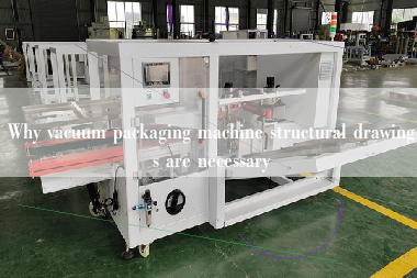 Why vacuum packaging machine structural drawings are necessary Why vacuum packaging machine structural drawings are necessary