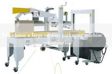 Why choose a large vacuum packaging machine for customization